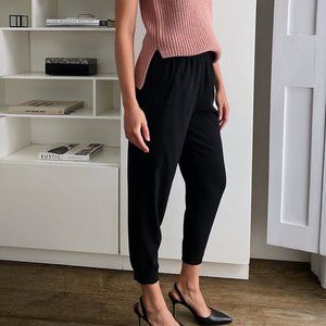 Aritzia Babaton Dexter Pant